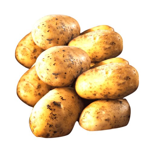 Zypern Anabelle Kartoffel kg 