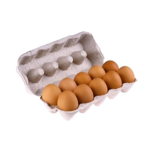 Frische Eier 10 stk 