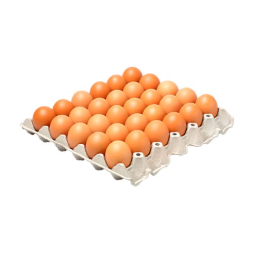 Frische Eier 30 stk 